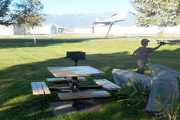 Table Model 91-213RP