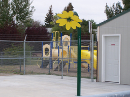 Daisy Spray Pole Model 1800-30 Daisy Spray Pole Model 1800-30