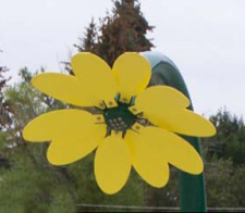 Daisy Spray Pole Model 1800-30 Daisy Spray Pole Model 1800-30
