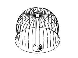 Bubble Tent Model 1800-61 ploan view Bubble Tent Model 1800-61 plan view