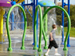 Spray Tunnel Model 1800-73 Spray Tunnel Model 1800-73
