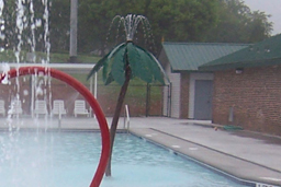 Palm Tree Spray Model 1800-77-2 Palm Tree Spray Model 1800-77-2