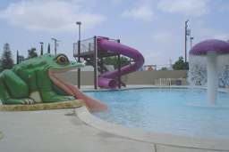 Polyethylene Flume Water Slide Model 1625 Water Slide Model 1625
